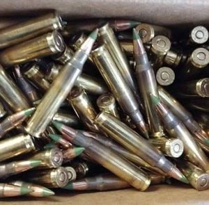 Meet your Posher, Oscar